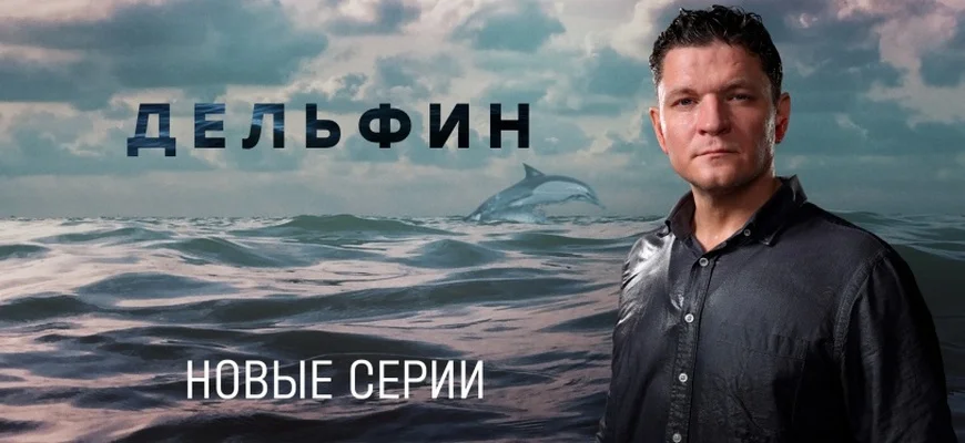 Дельфин-2-Сезон-Сериал-2022-Все (1-16 серии) смотреть онлайн