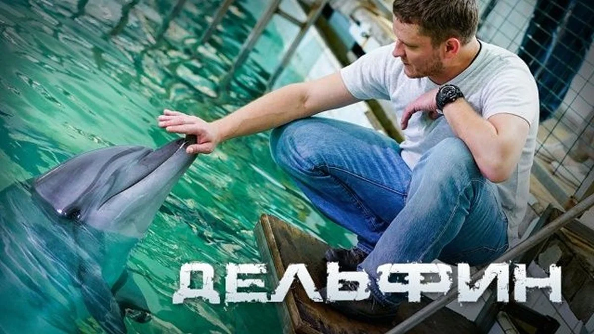 Дельфин-1-Сезон-Сериал-2019-Все (1-16 серии) смотреть онлайн